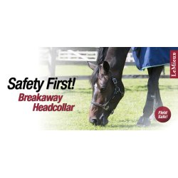 LeMieux Breakaway Grime