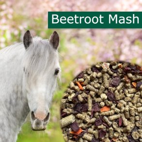 HorsePro Beetroot Mash