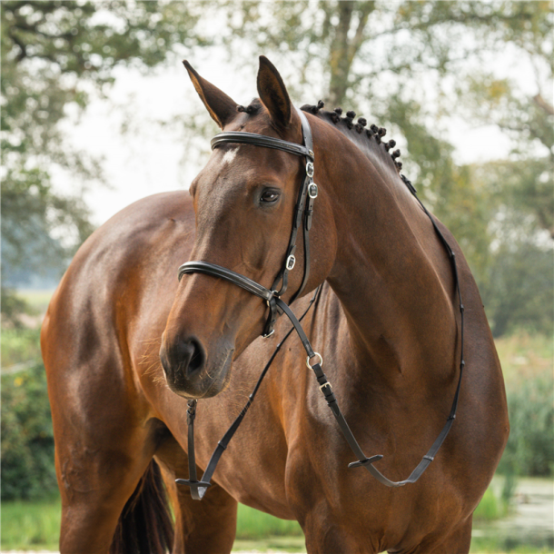 Horka Bidl�s trense