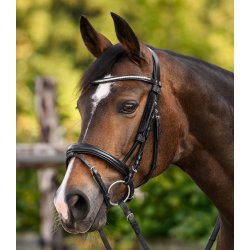 Blinkers / Skyklapper 