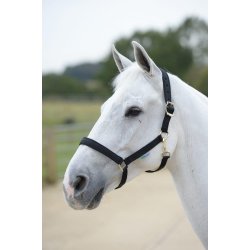 Bucas "Dublin" Grime