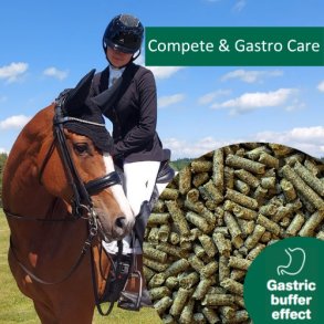 HorsePro Compete & Gastro Care - 20 kg. SENDES IKKE - SKAL AFHENTES I BUTIKKEN. 