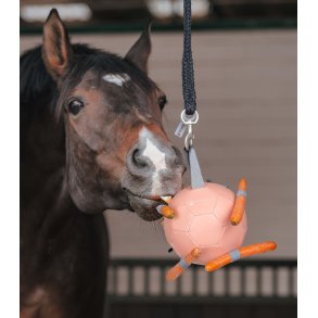 Waldhausen  bold til gulerdder