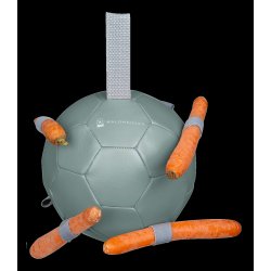 Waldhausen  bold til gulerdder