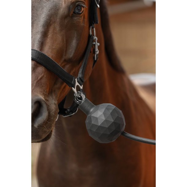 Gummibold til opbindning