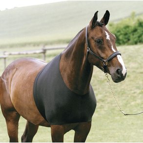 HG Undertr�je til hest