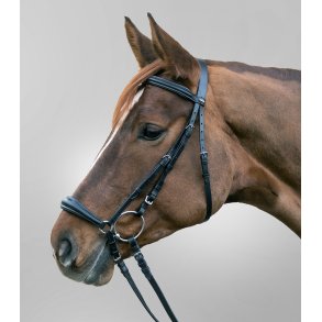 WH Hannorveransk trense