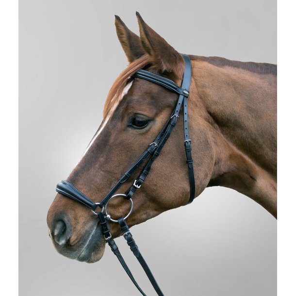 WH Hannorveransk trense