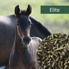 HorsePro Elite - 20 kg. SENDES IKKE. SKAL AFHENTES I BUTIKKEN