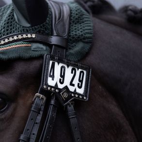 IMP Stvnenummer med kroko