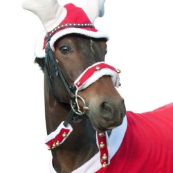 Juleovertr�k med bj�lder