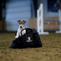 KL Classic strigletaske