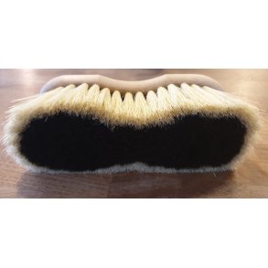 Borstiq brste Mix Mex hestehr