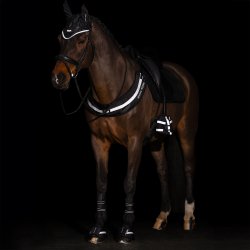 IMP Refleks til bringen