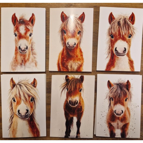 Kort med lille pony