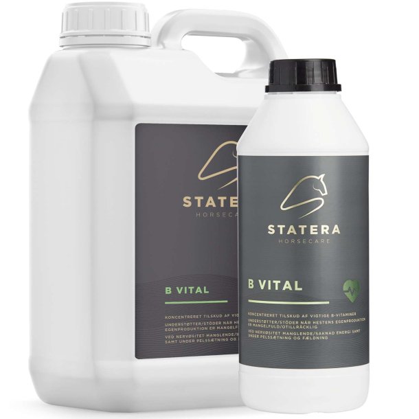 Statera B vital - 1 Liter