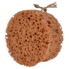 Borstiq svamp - rund
