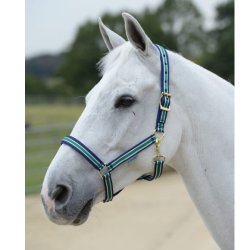 Bucas "Dublin" Grime