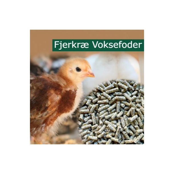 NAG Fjerkr� Voksefoder - 20 kg. SENDES IKKE - SKAL AFHENTES