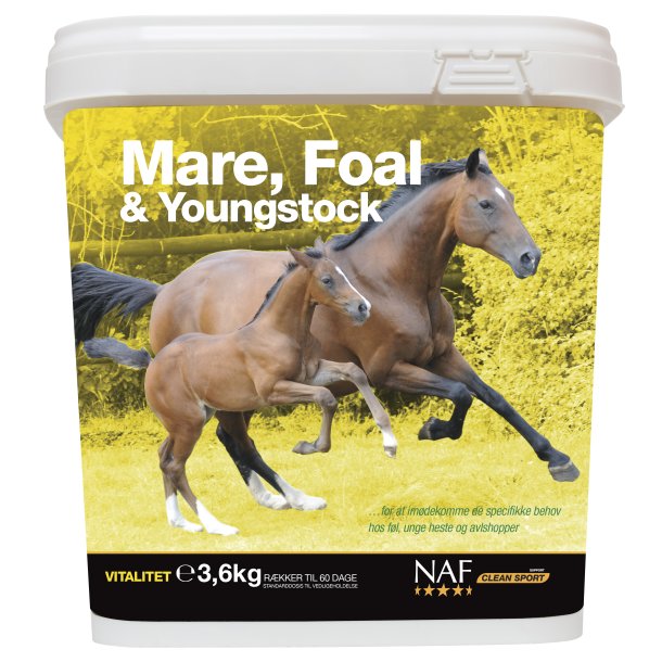 NAF Mare, Foal &amp; Youngstock