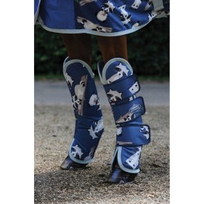 WeatherBeeta Transportgamacher Racoon