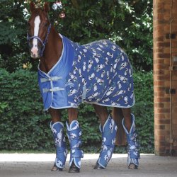 WeatherBeeta Transportgamacher Racoon