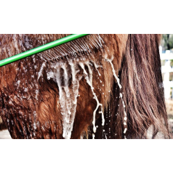 EZ Wash Wand vaskestav