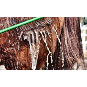 EZ Wash Wand vaskestav