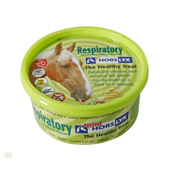 HorsLyx - Respiratory 650 g
