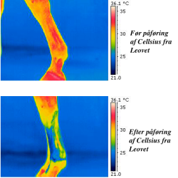 Leovet - Cellsius (300 ml)